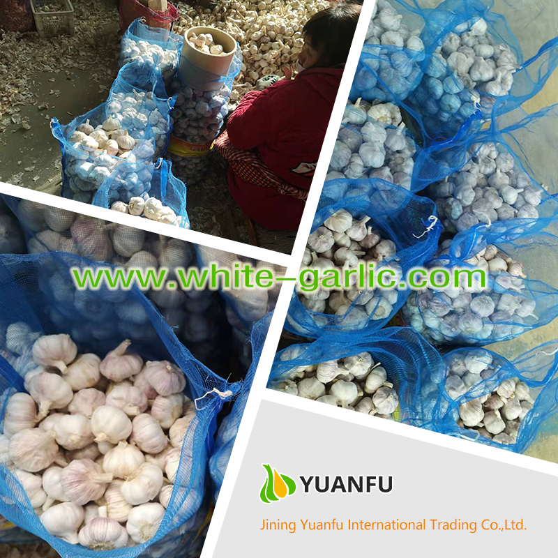 garlic sellers garlic sellers